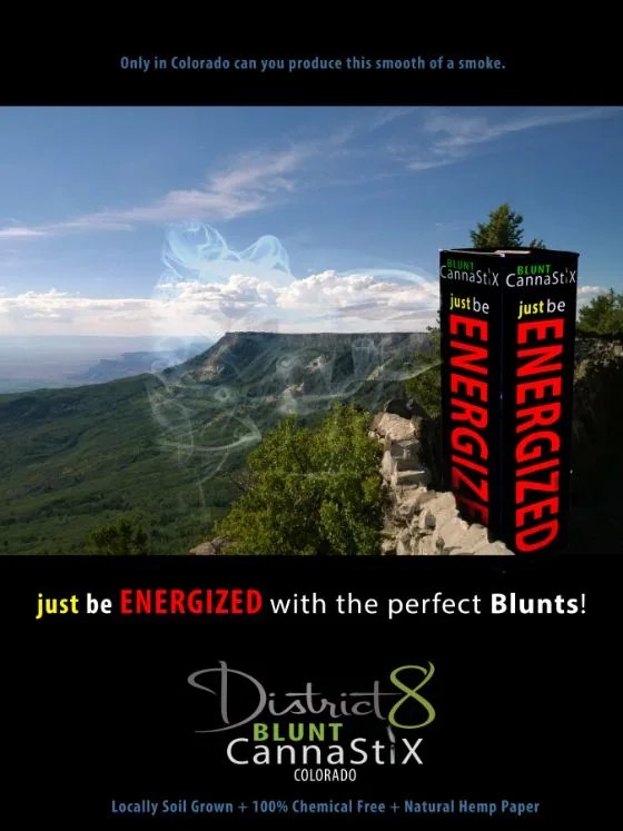 District 8 Blunt CannaStiX print ad designed by Jeremy Benisek: a 3D-rendered product box composited into a Colorado scene.