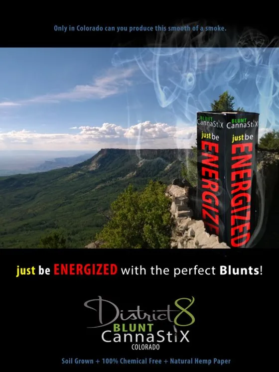 District 8 Blunt CannaStiX print ad designed by Jeremy Benisek: a 3D-rendered product box composited into a Colorado scene.